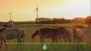 Energía eólica , la energía del viento