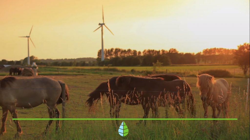 Energía eólica , la energía del viento