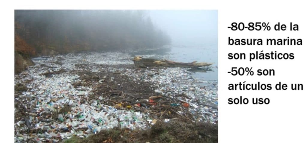plasticos de un solo uso en los mares