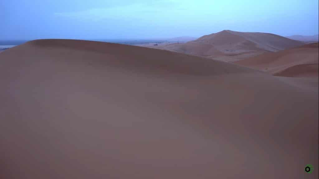 agricultura en el desierto