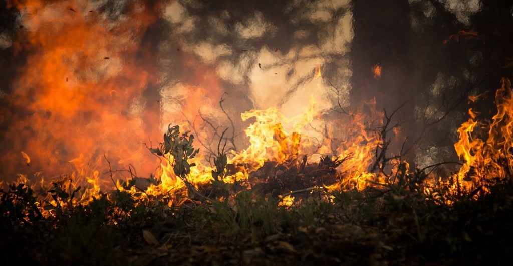 Que son incendios forestales Que son incendios forestales