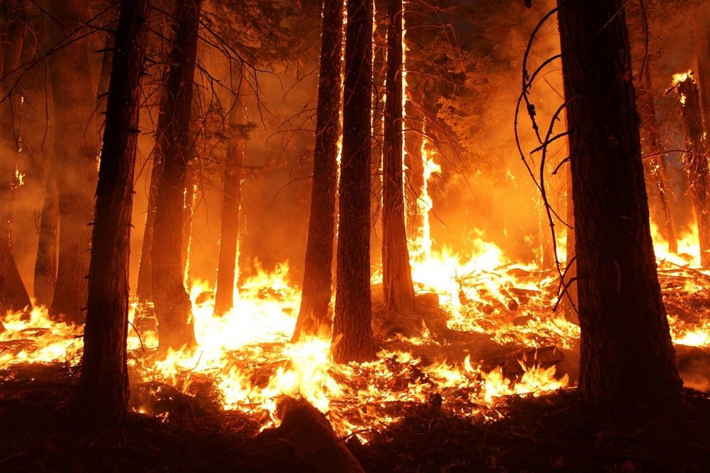 incendios forestales asolan siberia incendios forestales