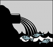 Miles de peces muertos, el mar menor al borde del colapso