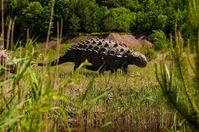 Los dinosaurios herviboros utilizaban su gran tamaño para defenderse
