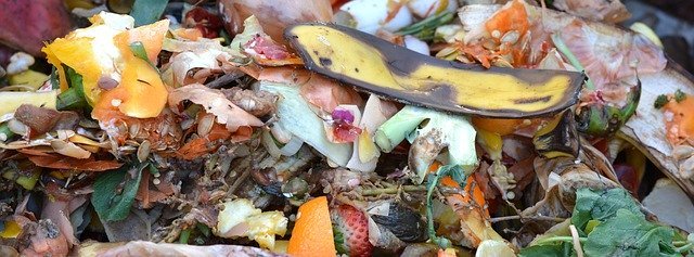 La biomasa es materia orgánica