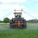 metodos de control de plagas