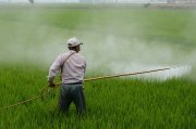 Opciones de control específicas para las distintas plagas conocidas